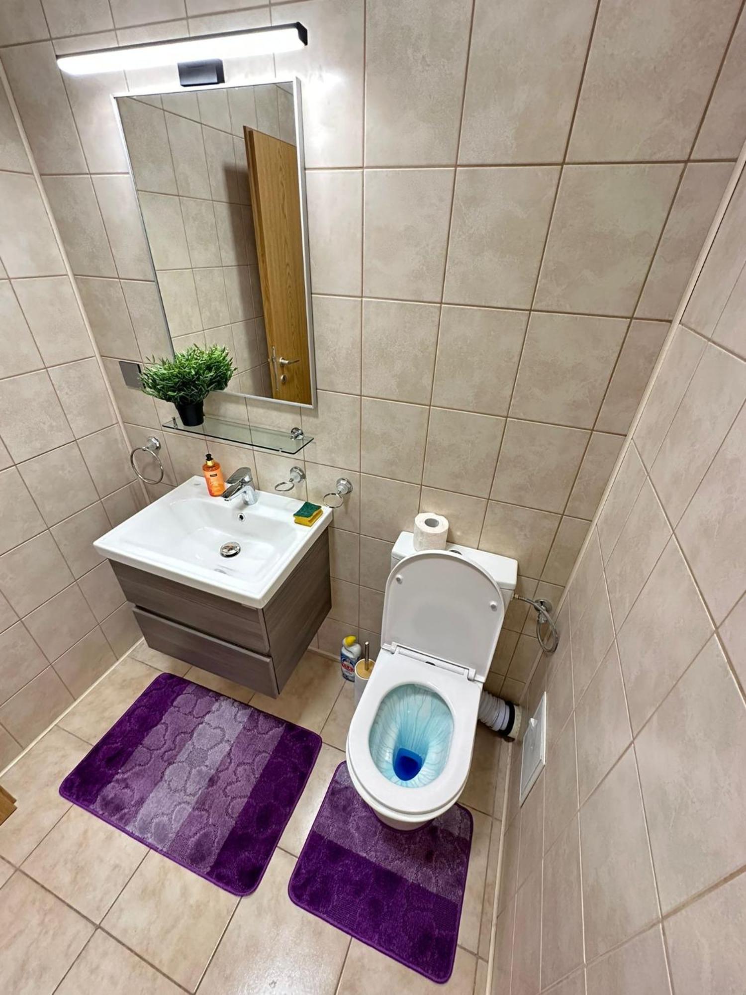 Centru Unirii Luxury Vip Palmier Apartament 2 Camere Cu Terasa Exterioara Amenajata ! Parcare Subterana Privata Climatizata Si Supravegheata Video Dar Doar Cu Rezervare In Limita Locurilor Disponibile !Proprietate In Regim Hoteliep - Nu Are Bucatarie 부쿠레슈티 외부 사진