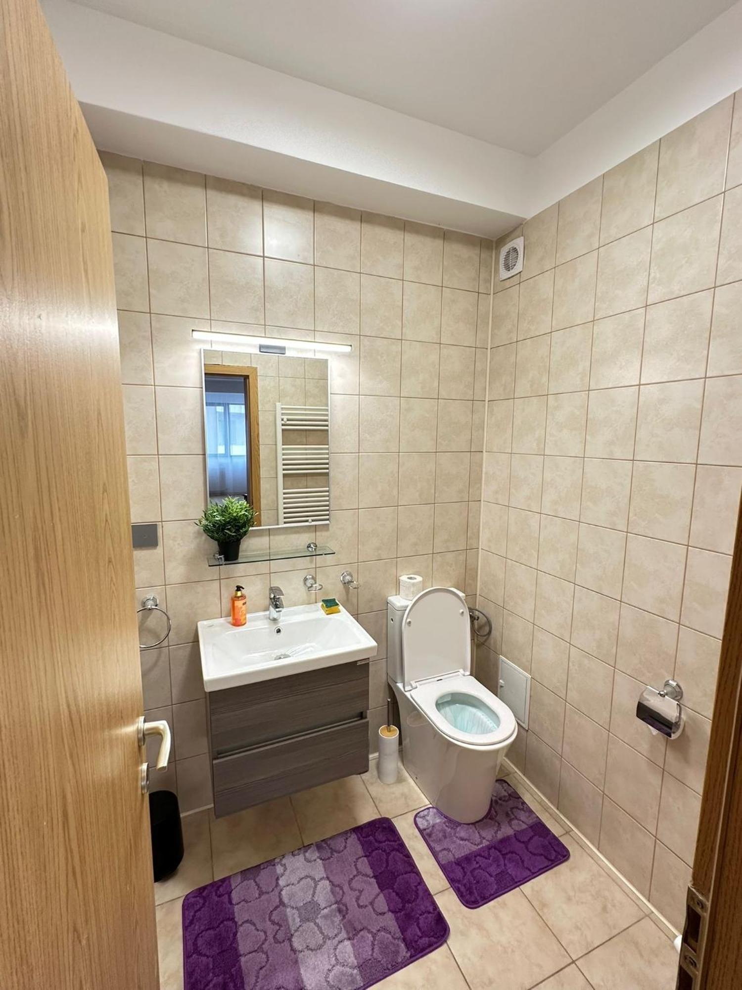 Centru Unirii Luxury Vip Palmier Apartament 2 Camere Cu Terasa Exterioara Amenajata ! Parcare Subterana Privata Climatizata Si Supravegheata Video Dar Doar Cu Rezervare In Limita Locurilor Disponibile !Proprietate In Regim Hoteliep - Nu Are Bucatarie 부쿠레슈티 외부 사진